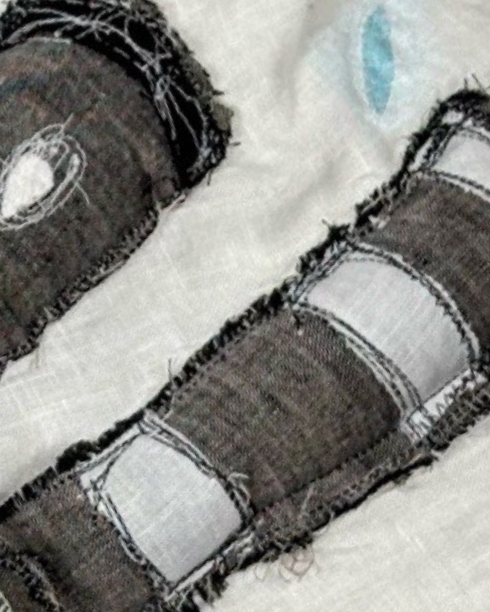 Rascal the Raccoon Pillow