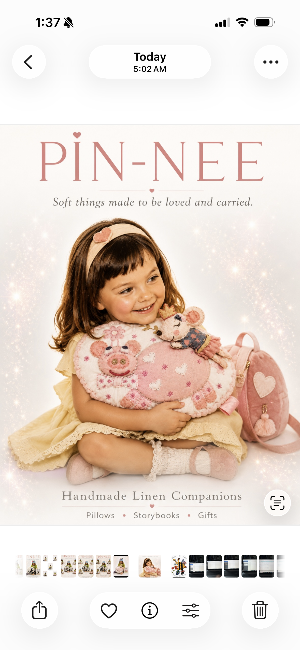Petal the Piggy Pillow